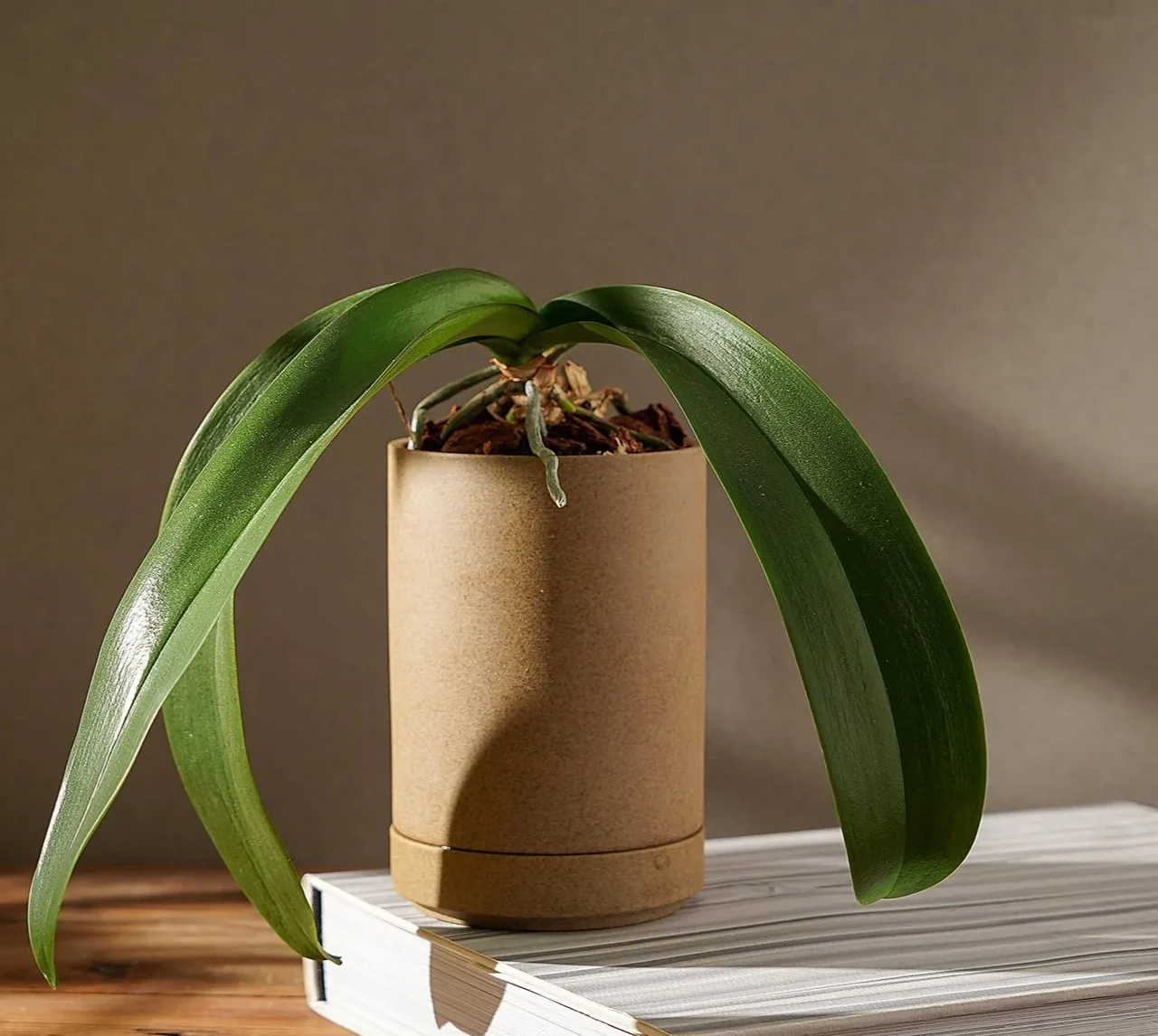 8个极简配饰让你的居家焕然一新