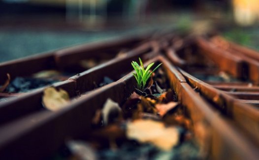 在一个时代里缓慢行走