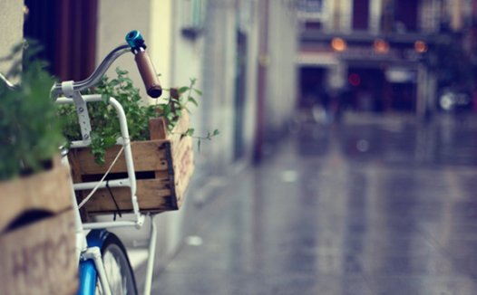 向美好的旧日时光道歉