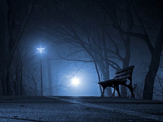 毛不易|一荤一素