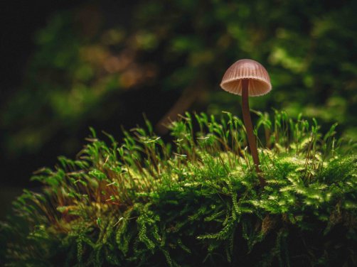 谁的生命可以不受时间限制