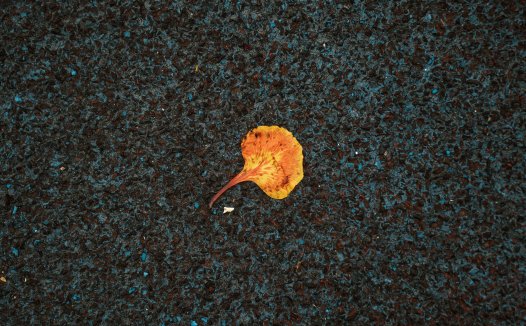 这些歌儿,那些时光