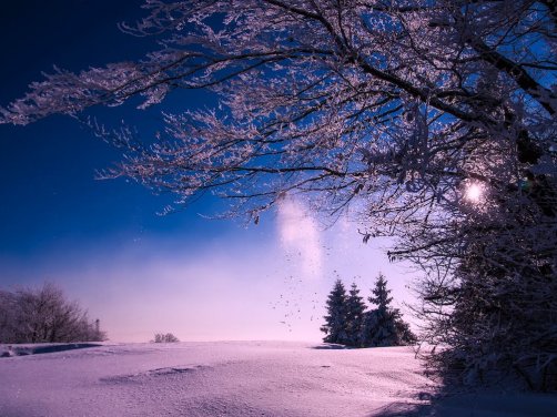 路途坎坷谁人知 前方必有扫雪人