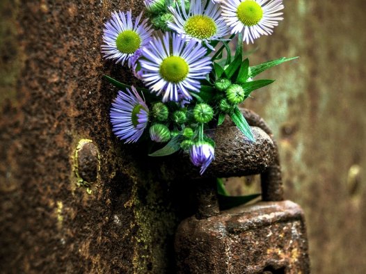 请允许自己枯萎几天