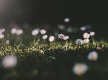 《定风波·听波语》—DeepSeek