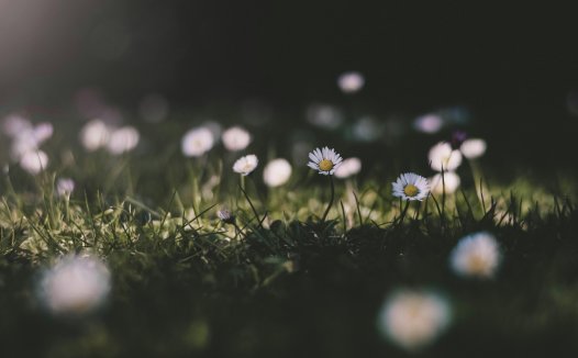 《定风波·听波语》—DeepSeek