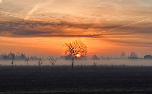 我想找一个灵魂栖息的地方