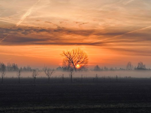 我想找一个灵魂栖息的地方